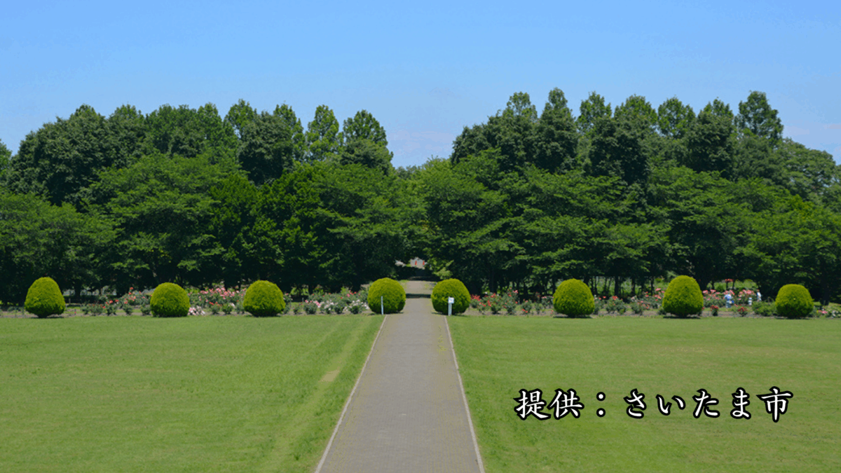 市民の森